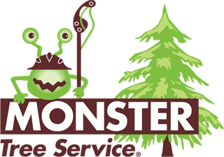 Monster Tree Service of Pinellas County