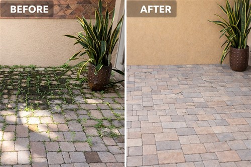 Gallery Image palm-harbor-paver-sealing-before-after-natural-sealer.jpg
