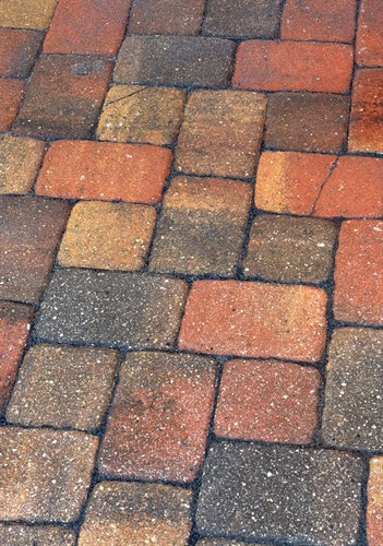 Gallery Image safety-harbor-polymeric-sand-joints-closeup.jpg