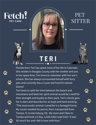 Teri- Fetch Sitter