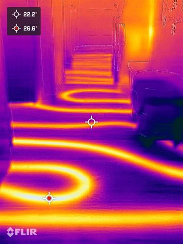 We do Infrared imaging for radiant heat and moisture issues
