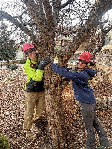 Giving some love to this tree on Valentine's Day! 