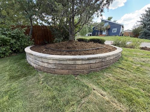 Large tree ring retaining wall.