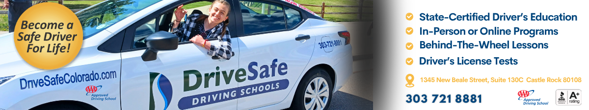 DriveSafe Driving Schools DriveSafe Driving Schools