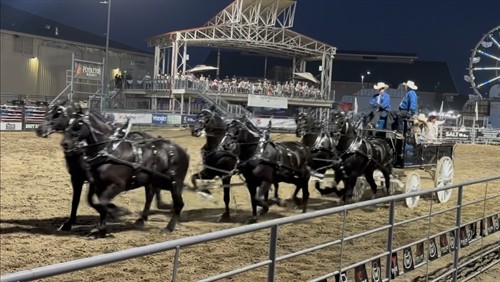 ProRodeo 2026