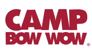 Camp Bow Wow
