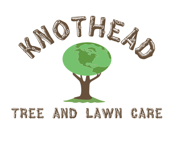 Knothead Tree and Lawn Care Knothead Tree and Lawn Care