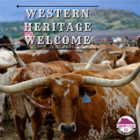 Watch the Wild West come to life with a longhorn cattle drive July 29