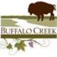 Bonnie Bishop and Bri Bagwell at Buffalo Creek