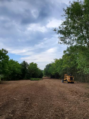 Mulching and Land Clearing
