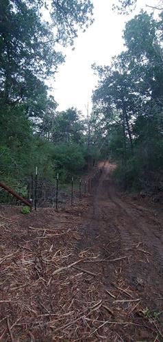 Land Clearing and Fence Building