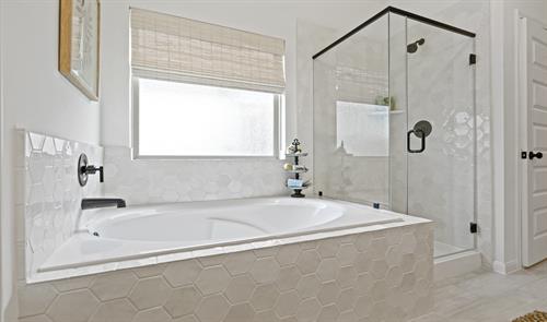 Separate tub and shower in the owner's bath