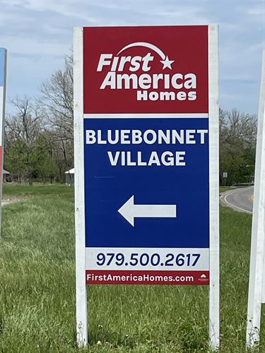 Bluebonnet Village!
