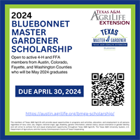2024 Bluebonnet Master Gardener Scholarship Opportunity