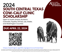 South Central Texas Cow-Calf Clinic Scholarship Opportunity
