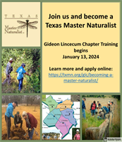 2025 Texas Master Naturalist Training Class Registration Opens