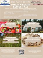 BMGA Lunch N Learn Series – Growing Mushrooms