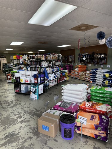 Gallery Image store_2.jpg