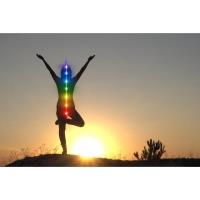 Intro to the Chakra Subtle Body System