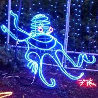 Annual Holiday Lights at Shore Acres