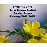 Gorse Blossom Festival