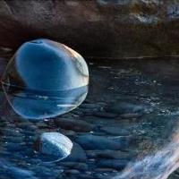 "Taking Refuge" Photography by Susan Dimock