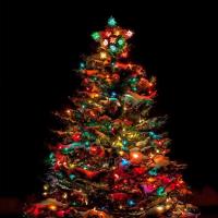 Night of 10,000 Lights