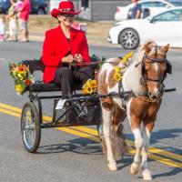 Cranberry Festival Parade