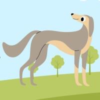 Cranberry Prancing Pet Parade