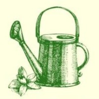 Gardening Talks! Gardening 101 - Basics for the Southern Coast