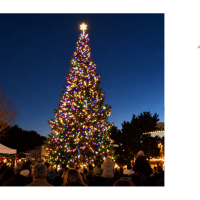 Night of 10,000 Lights