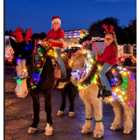 Holiday Light Parade