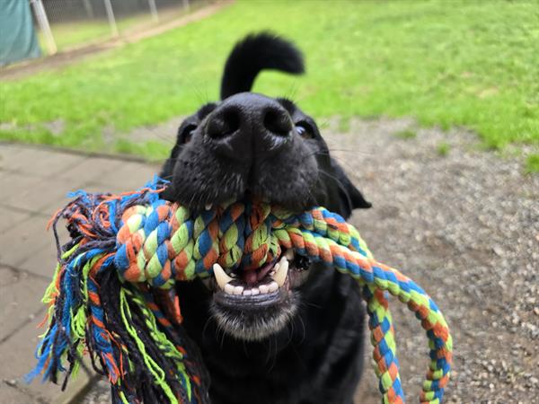 Gallery Image 20250108_104513.jpg