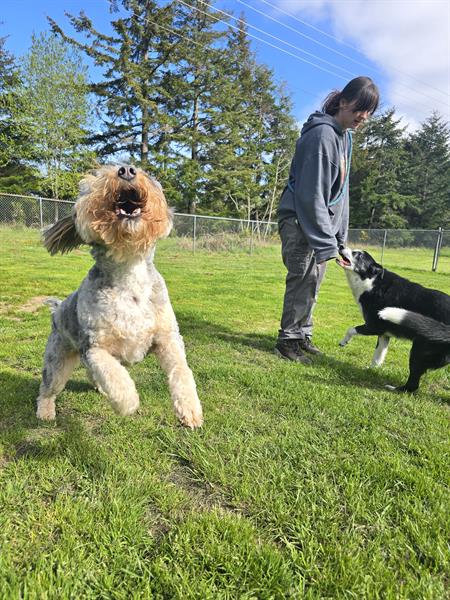 Gallery Image 20250416_162249.jpg