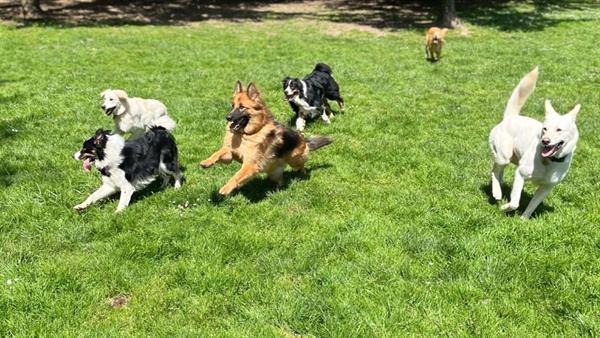 Gallery Image FB_Cover_Photo.jpeg