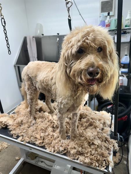 Gallery Image IMG_2172.jpg