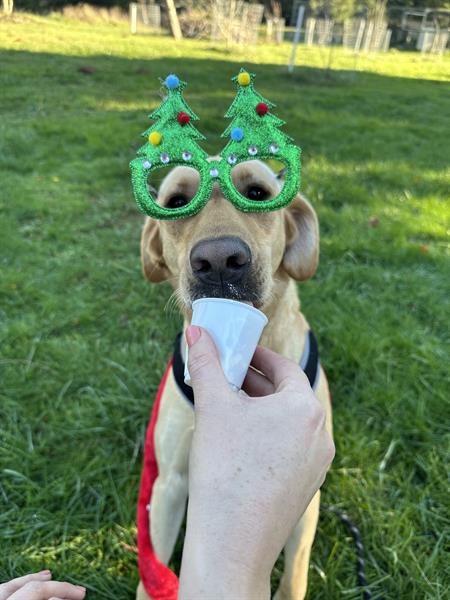 Gallery Image IMG_4367_Original.JPG