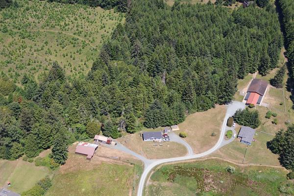 Gallery Image IMG_4425.jpeg