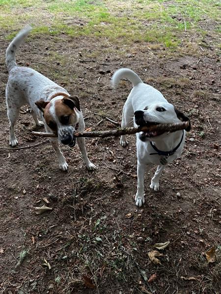 Gallery Image IMG_4669.jpeg