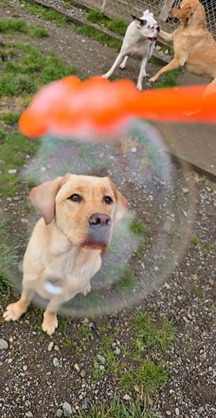 Gallery Image VideoCapture_20250204-101456.jpg