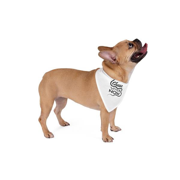 Chase the Now - Pet Bandana Chase the Now - Pet Bandana