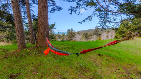 Hammock in the Trees Hammock in the Trees