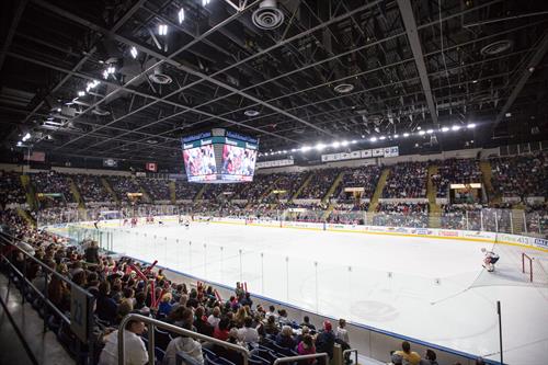 The Springfield Thunderbirds were established in 2016. The franchise paved redefined the meaning of AHL Hockey in Western Massachusetts and Northern Connecticut by achieving record breaking attendance and establishing a reputation for unrivaled entertainment.