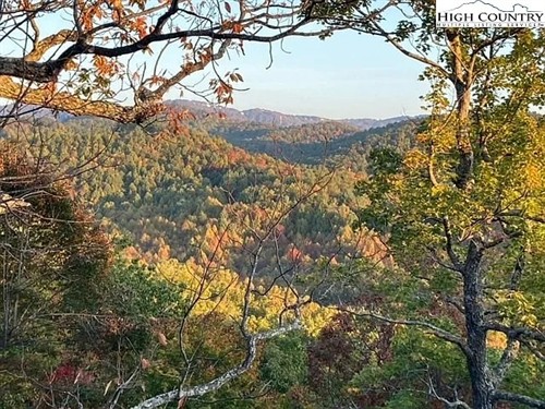 Gallery Image Picture_4.jpg