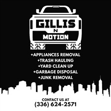 Gillis In Motion Gillis In Motion