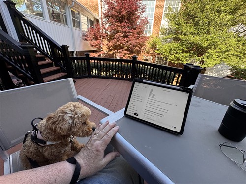 Daisy, my Poochon, enjoys some Broyhill deck time on a Sunday afternoon