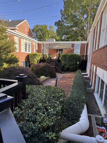 My Sunday afternoon sanctuary at Broyhill 