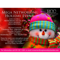 Mega Networking Holiday Event!