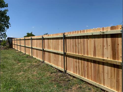 Western red cedar wood privacy fence