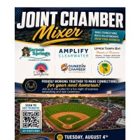 Joint Chamber Mixer at Baycare Ballpark